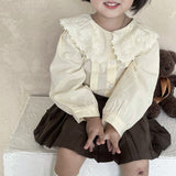 Embroidered Cotton Top